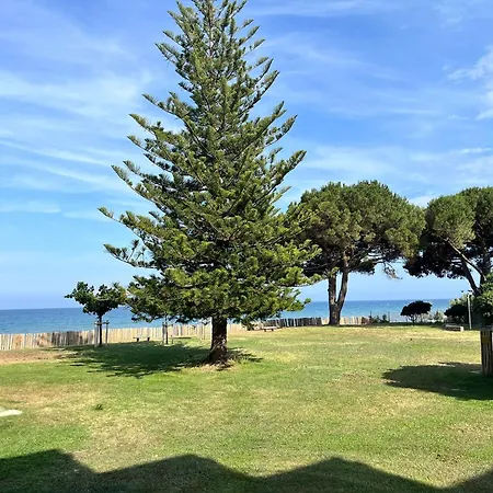 Vue Et Montagne, Plages Et Commerces A Pied